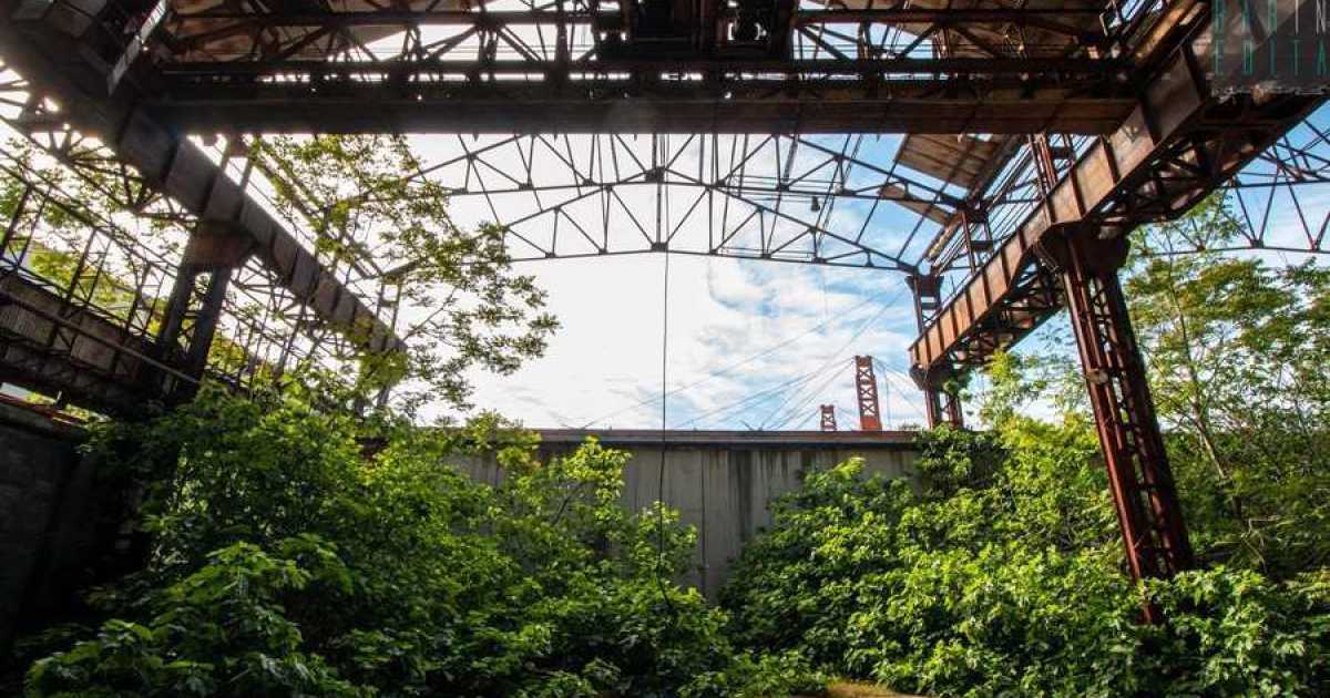 La giungla tra le lamiere: viaggio nelle grandiose e spettrali ex Acciaierie Pugliesi